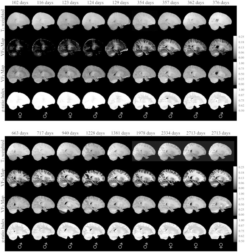 Supplementary Fig. 2