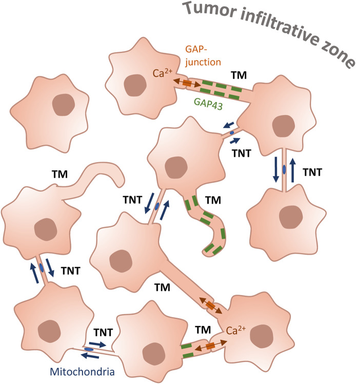 Figure 7.