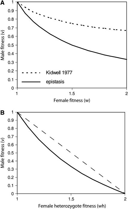 Figure 5.—