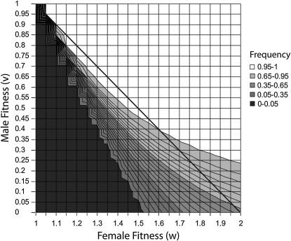 Figure 3.—