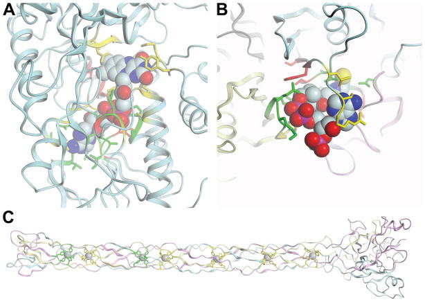 Fig. 8