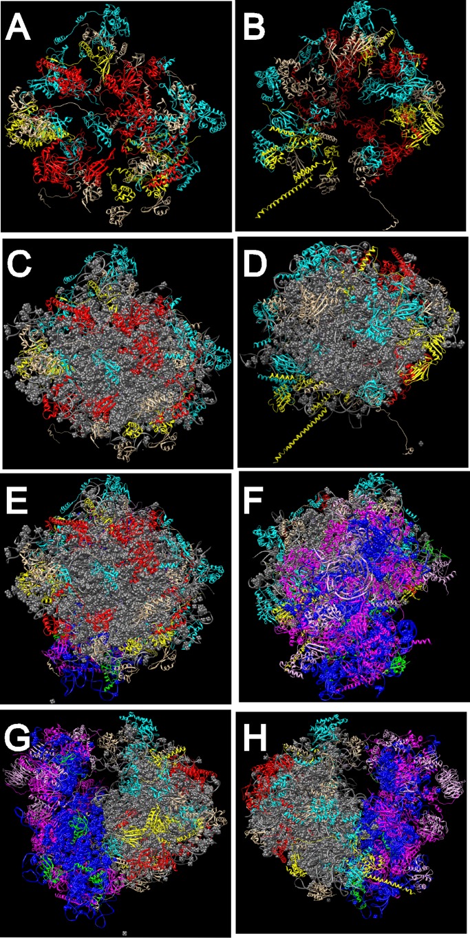 FIGURE 5: