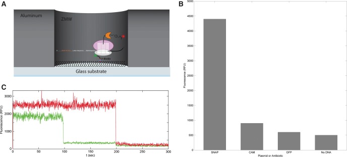 FIGURE 4.