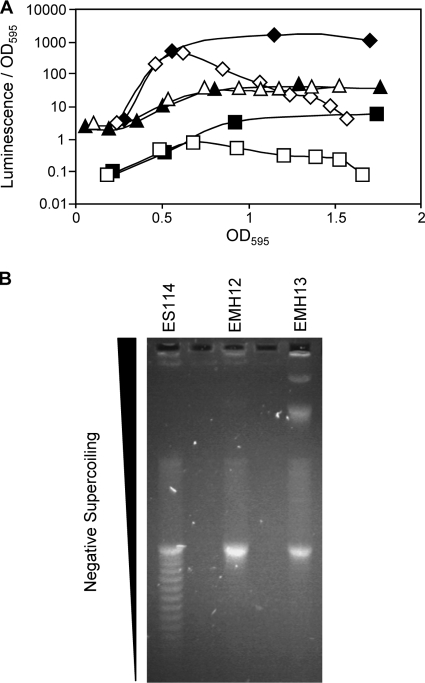 FIG. 7.