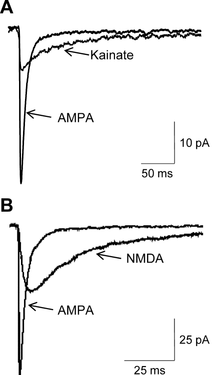 Fig. 12.