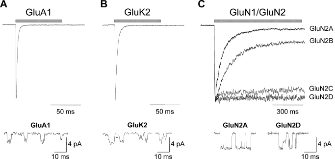 Fig. 11.