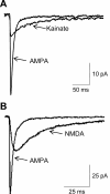 Fig. 12.