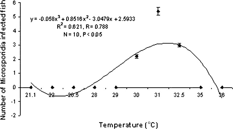 Graph 5