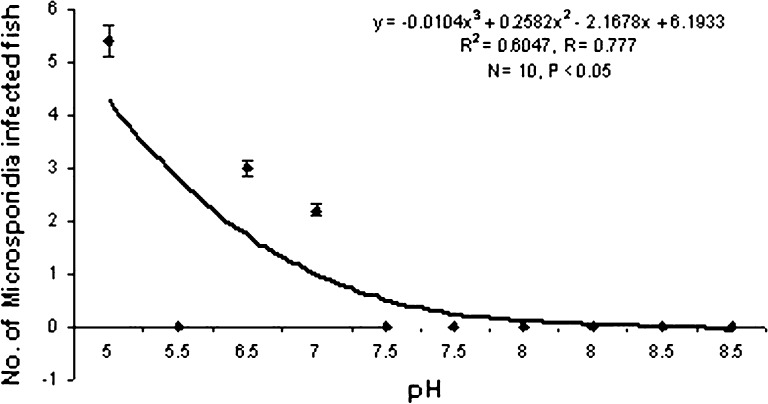 Graph 6