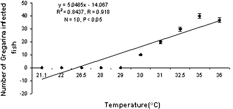 Graph 3