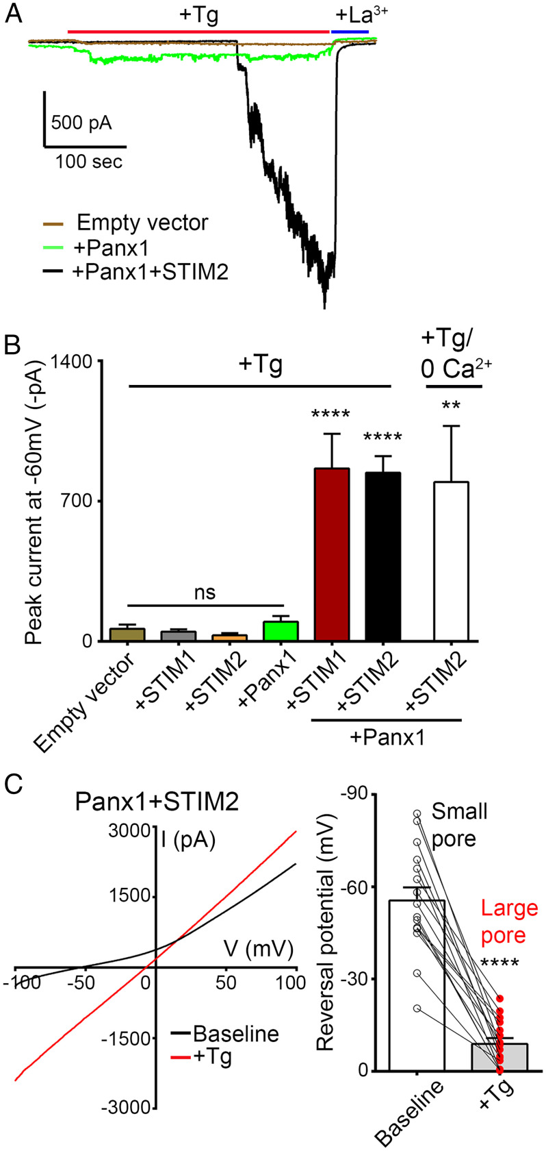 Fig. 2.