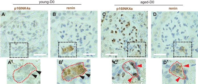 Fig. 8.