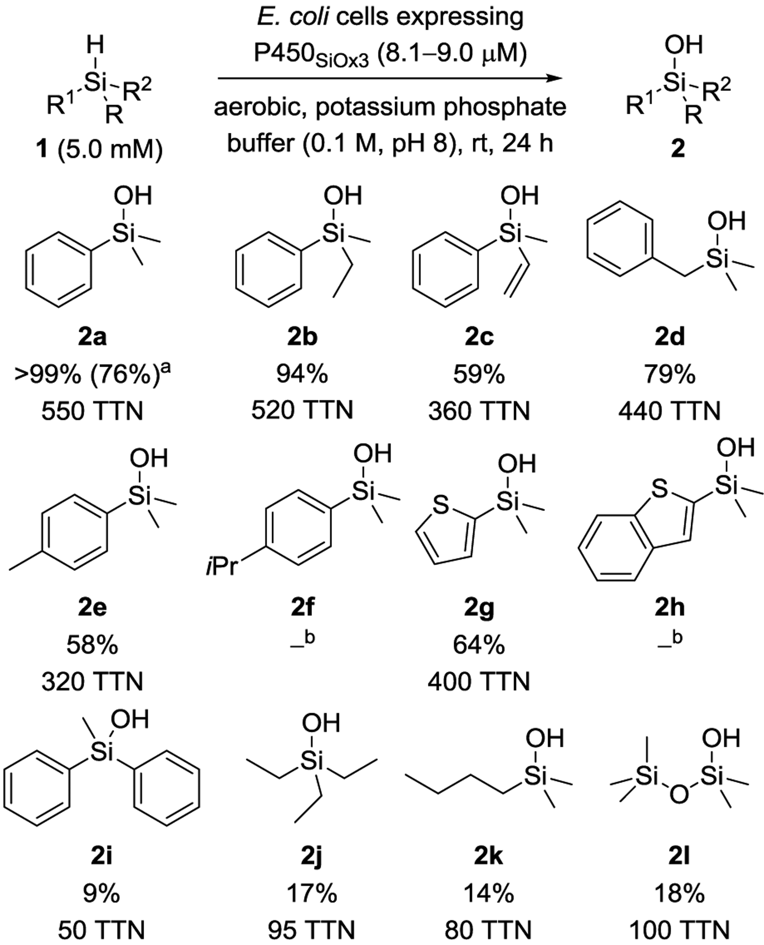 Scheme 2.