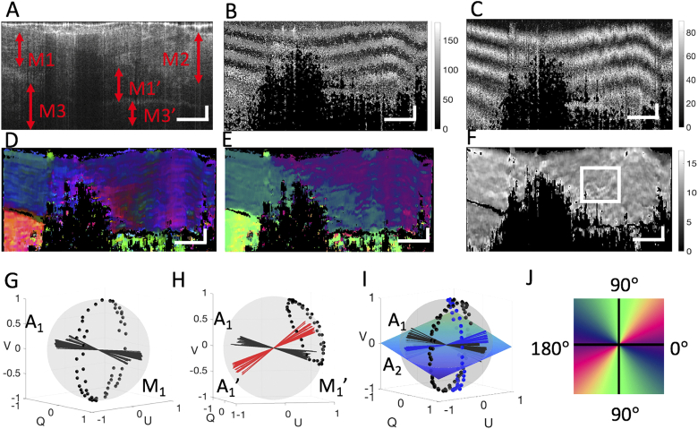 Fig. 4.