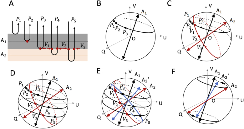 Fig. 1.