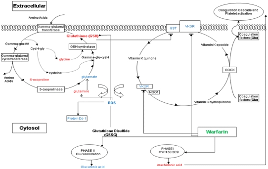 Fig. 4