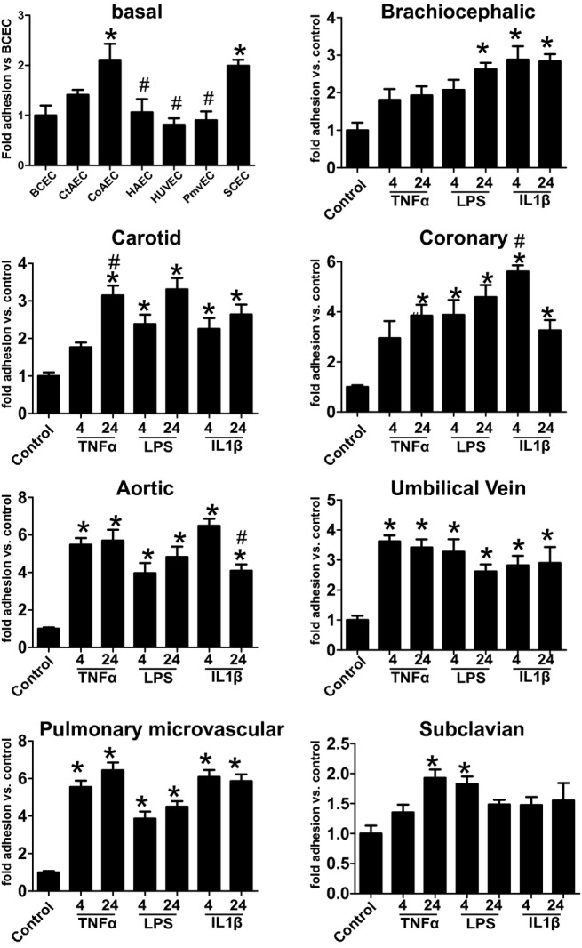 Figure 12.