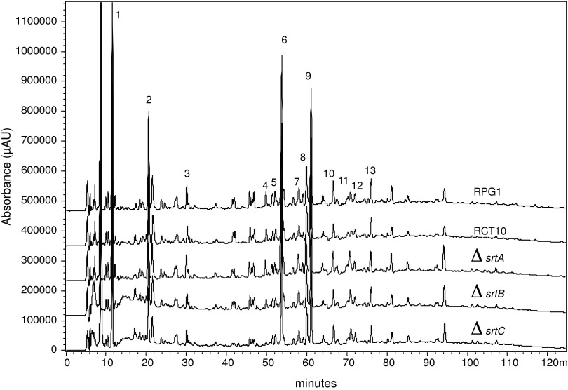 FIG. 2.