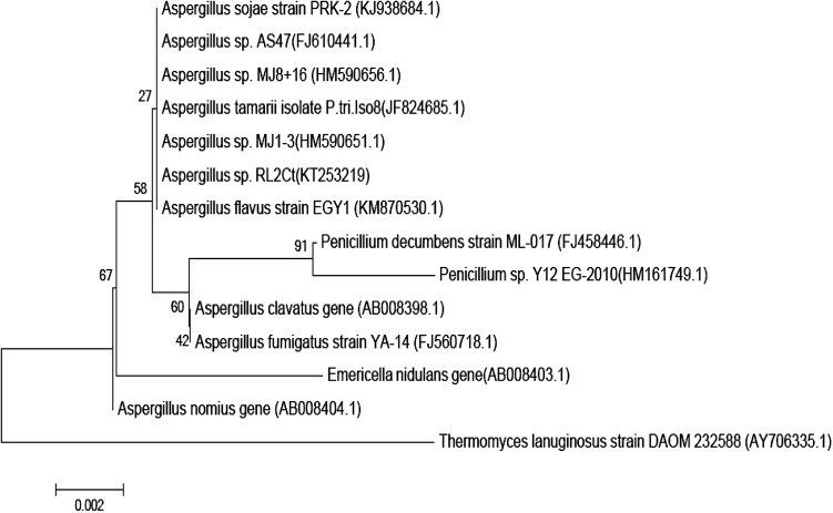 Fig. 3