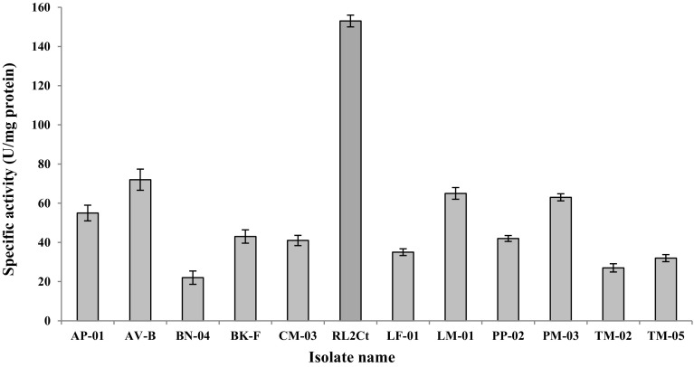 Fig. 2