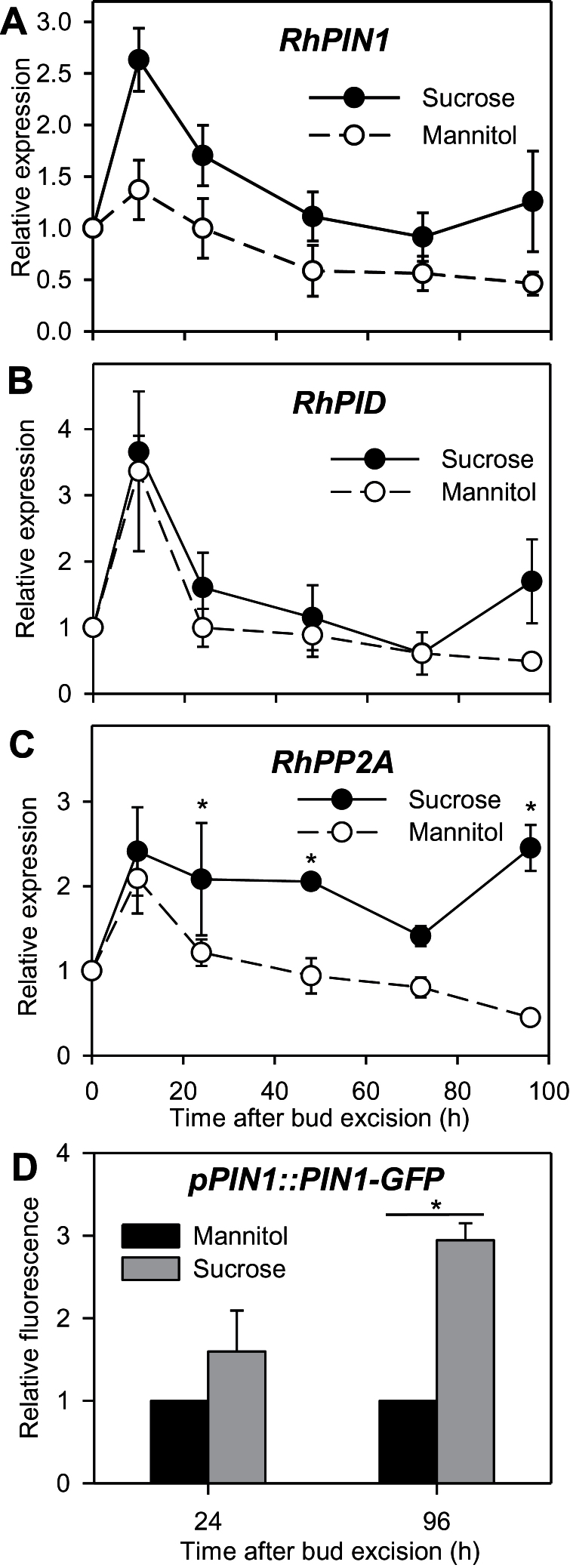 Fig. 5.