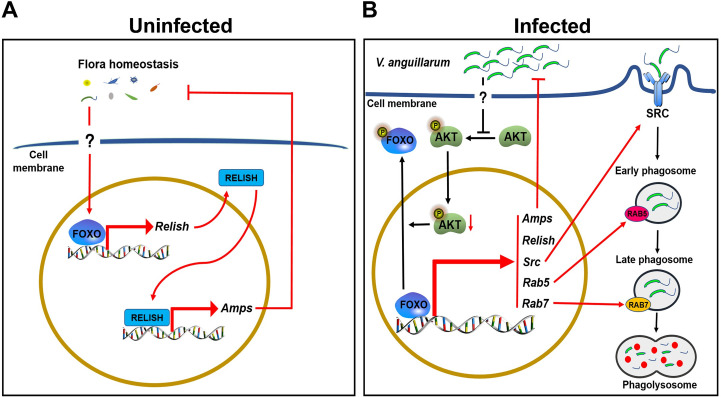 Fig 10