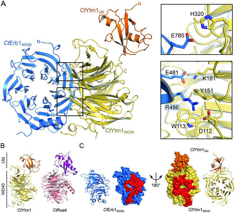 Figure 2.