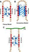FIGURE 10.