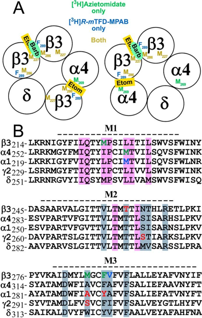 FIGURE 9.