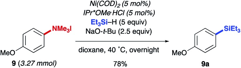 Scheme 3