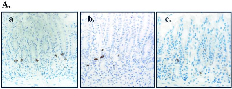 FIG. 8.