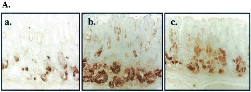 FIG. 7.