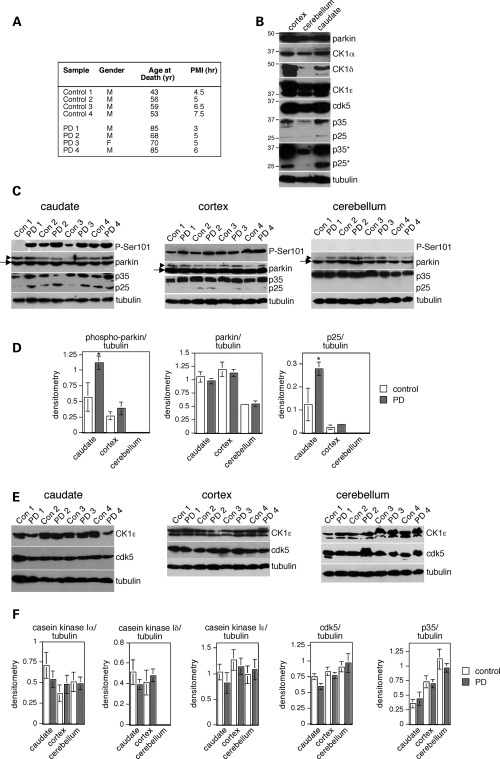 Figure 6.