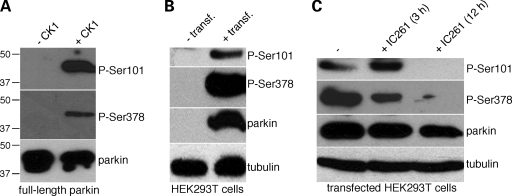 Figure 2.