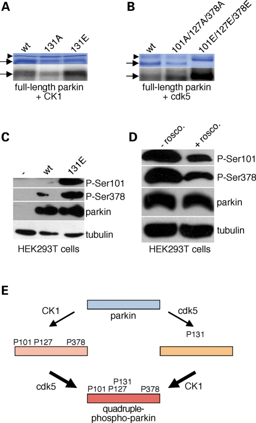 Figure 3.