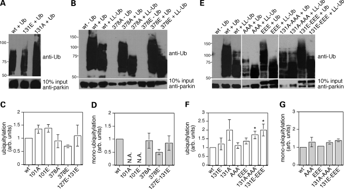 Figure 4.