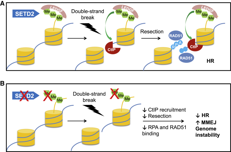 Figure 6