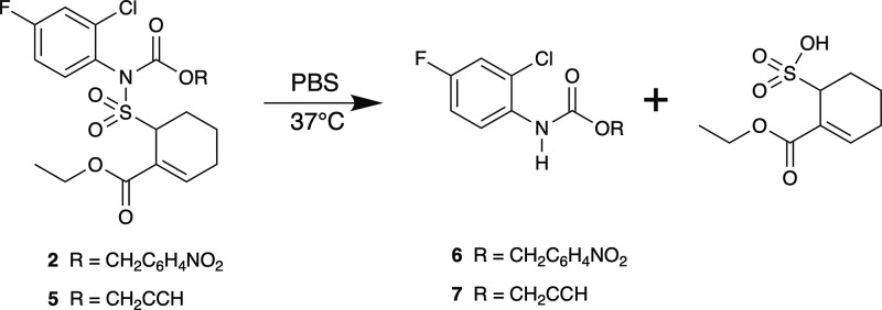 Scheme 4