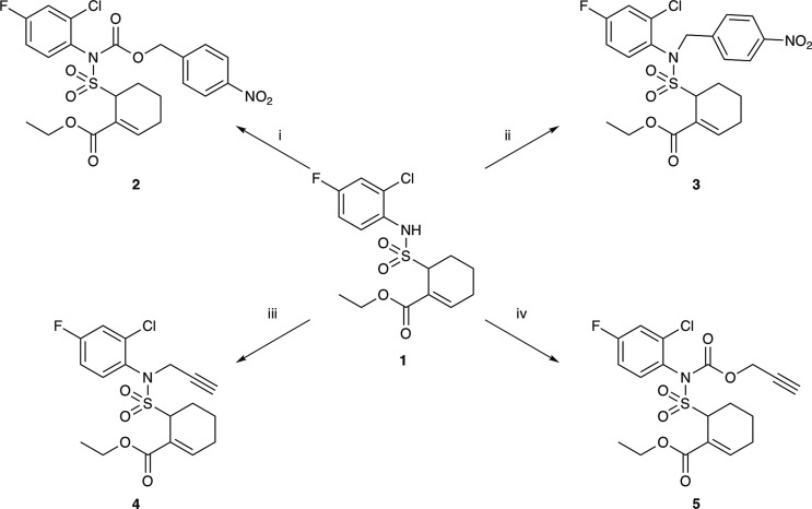 Scheme 2