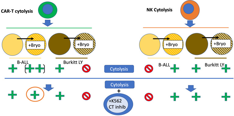 Figure 13