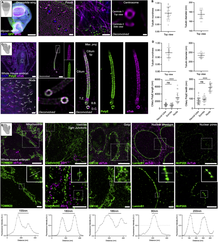 Figure 3