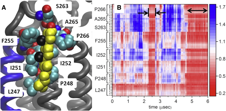 Figure 6