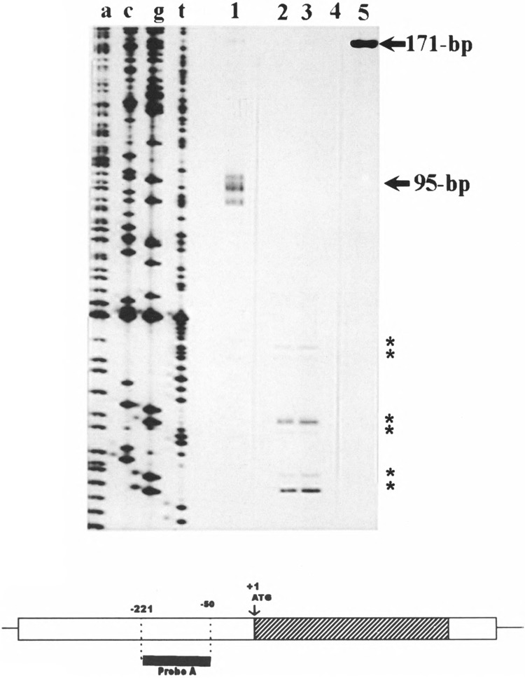 FIG. 3