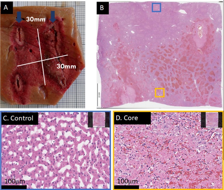 Fig 4