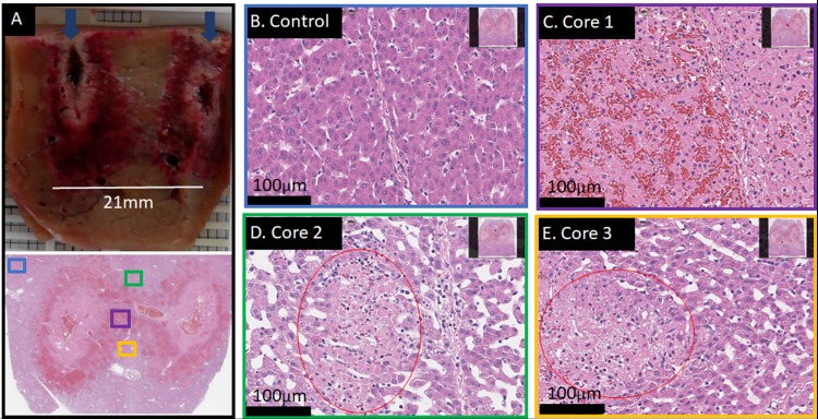 Fig 3