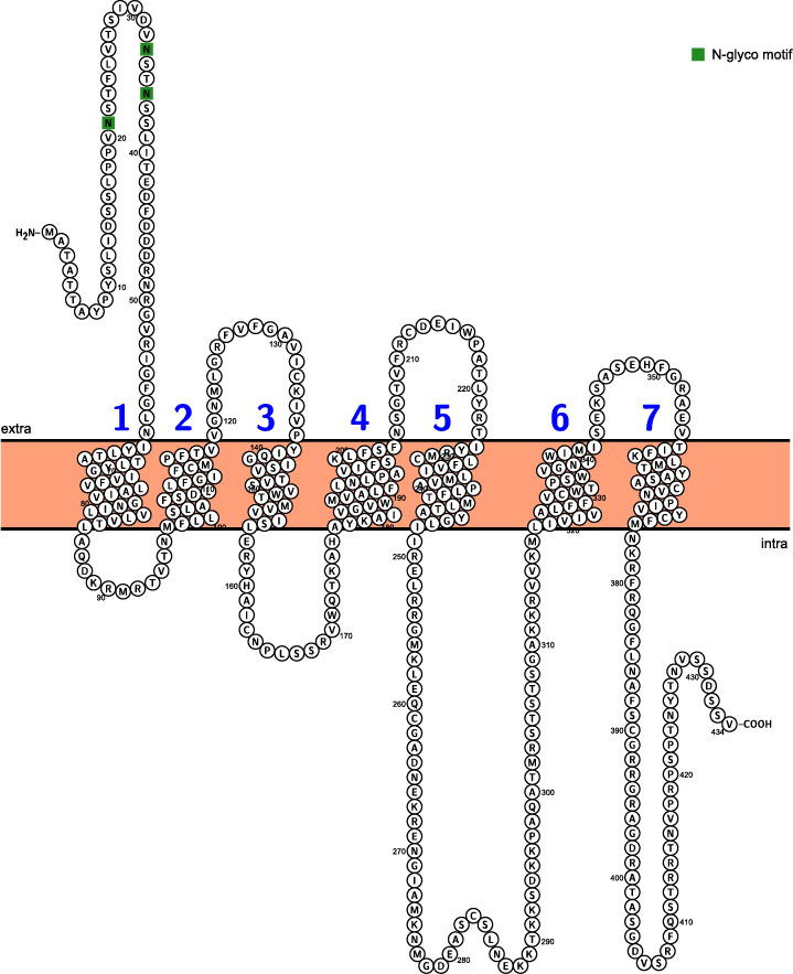 Figure 2—figure supplement 2.