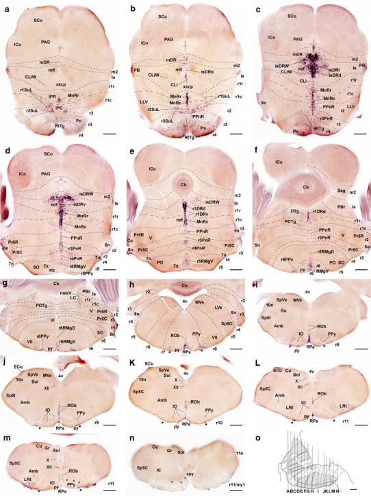 Fig. 2