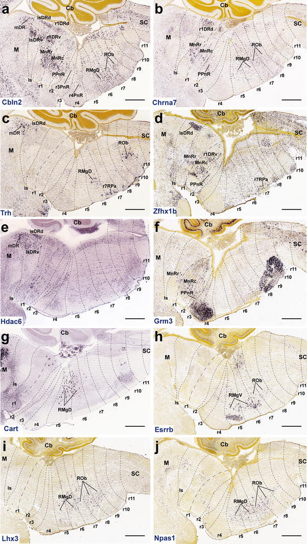 Fig. 14