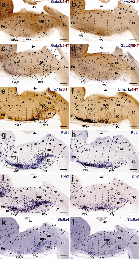 Fig. 12