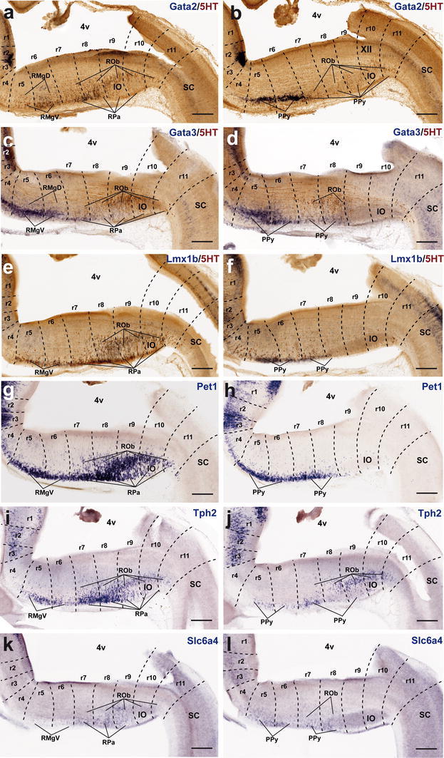 Fig. 11